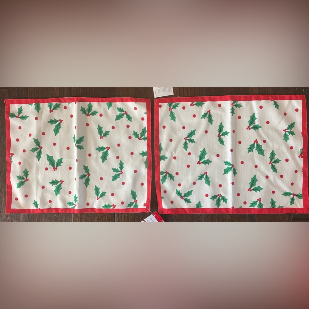 2pc Celebrate It Placemats Set